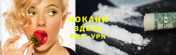 спиды Ладушкин
