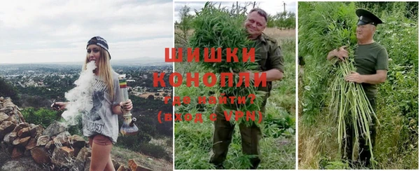 PSILOCYBIN Лагань