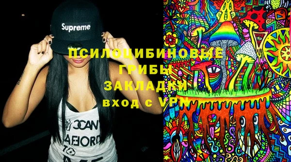 PSILOCYBIN Лагань