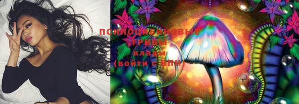 спиды Ладушкин