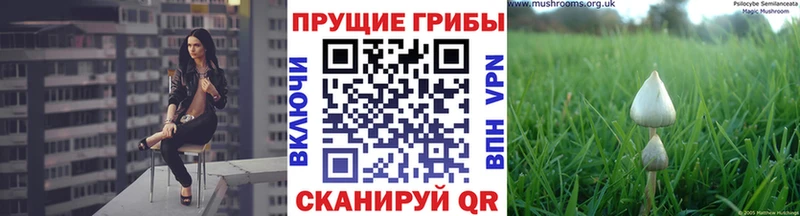Галлюциногенные грибы Magic Shrooms  купить  сайты  hydra маркетплейс  Егорьевск 