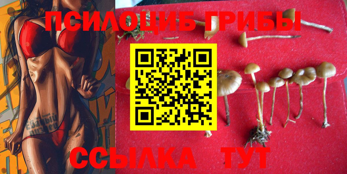Псилоцибиновые грибы Cubensis  Псилоцибиновые грибы ЛСД  Егорьевск 