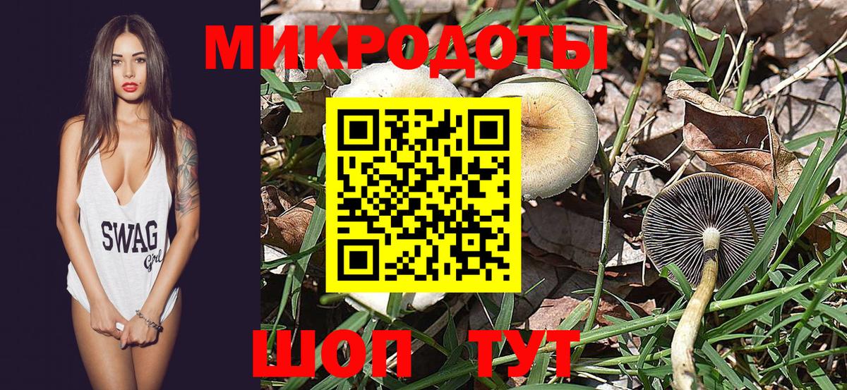 Псилоцибиновые грибы мицелий  Псилоцибиновые грибы Cubensis  Вход с VPN  Егорьевск 